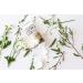 Urban Hydration Castor & Shea Face Cleanser & Lotion Duo | Hydrates Cleanses Evens Skin Tone | All Skin Types | Glow & Smooth Finish - Buy Online on GoSupps.com