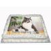 YOUR OWN PHOTO IMAGE WITH PERSONALISED MESSAGE COSTCO SIZED EDIBLE ICING CAKE TOPPER DECORATION - Buy Online on GoSupps.com