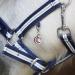 Soulhorse Bridle Ranges & Lucky Charms for Horses | Keychains & Trailer Charms with Artificial Stone - Shop Charm Lucky Stone Rose - Buy Online on GoSupps.com