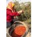 Organic Wholeberry Goji Berries 32oz - Raw, Vegan, Gluten-Free Superfood high in Protein, Fiber, Vitamin A & Iron - Buy Online on GoSupps.com