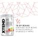 XTEND Original BCAA Powder Strawberry Kiwi Splash - 30 Servings | BCAAs + Electrolytes for Recovery & Muscle Support - Buy Online on GoSupps.com