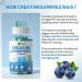 Creatine Monohydrate Gummies 5000mg - Muscle Strength & Energy Boost | Pre-Workout Supplement for Men & Women (90 Count Blueberry - Buy Online on GoSupps.com