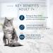 Blue Buffalo Healthy Aging Natural Mature Dry Cat Food Chicken And Brown Rice 3.1kg bag - Medium Bag kibble Medium Bag 7+ Mature - Buy Online on GoSupps.com