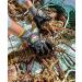 Lobster Gloves for Diving | Kevlar X-Large Dive Glove | Puncture Resistant - Buy Online on GoSupps.com