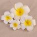 4pcs Hawaiian Plumeria Flower Foam Hair Clips - Beach Hair Accessories for Bridal Wedding & Vacation Outfits - Buy Online on GoSupps.com