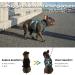 Huntboo Safety Harness for Small Dogs - Reflective Adjustable Durable Vest for Escape Artists - Blue (Size S) - Perfect for Walks - Buy Online on GoSupps.com