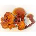 Red Reishi Dried pieces 25 Gram - Buy Online on GoSupps.com