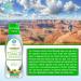 Tropical Oasis Premium Ionized Plant Based Trace Minerals Liquid- 16 oz (32 Servings) - Buy Online on GoSupps.com