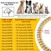 Rosegold Dog Chain Diamond Cuban Collars Walking Rosegold Metal Chain Collar with Design Secure Buckle Pet Cuban Crystal Jewelry Collar Necklace Accessories for Dogs Cats(Rosegold 10inch) 10inch Rosegold - Buy Online on GoSupps.com