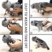 Premium Cat Dishes with Leash - Outbreak-Proof Set with Reflective Harness for Kittens - Gray Small - Buy Online on GoSupps.com