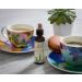 Bach Agrimony Flower Essence Drops 20ml - Emotional Wellness Vegan Formula - Natural Remedy - Buy Online on GoSupps.com
