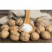 8 oz. African Shea Butter Yellow Raw - 100% Pure - Unrefined Soft Creamy. For Dry and Cracked Skin. DIY Body Butter Hair and Face Treatment. Great for Lotion Soap Eczema & Stretch Mark Creams. - Buy Online on GoSupps.com