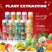 Christmas Moisturizing Lip Gloss Set 10 Pieces Christmas Lip Balms Merry Christmas Lip Balm Lip Gloss Lip Hydration Lip Care Christmas Stocking Filler - Buy Online on GoSupps.com