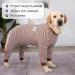Axcimond Full Body Dog Onesie After Surgery Female Dog Surgery Recovery Suit Male Dog PJS Shedding Suit Dog Surgical Recovery Suit Operation Recovery Dog Onesie for Large Medium Dog Cone Alternatives 7XL Coffee - Buy Online on GoSupps.com