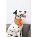 Lionet Paws Autumn Dog Bandana - Red Leaves Triangle Scarf for Small Medium & Large Dogs - Buy Online on GoSupps.com