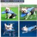 Petglad French Bulldog Life Jacket - Dog Life Vest with Handle & Reflective for Swim, Pool, Beach, Boating - Blue (Chest Girth 16.5-29.5) - Buy Online on GoSupps.com