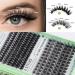 30p/40p Mixed Cluster Eyelashes | GLANVY DIY Lash Extension Kit | 551pcs Natural Look Individual Lashes | 6-in-1 Ultra-Large Capacity - Buy Online on GoSupps.com