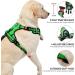 Buy Nestroad Green Dog Harness for Small Dogs - Anti-Train Cuddly Chest Harness (Size S) - Neck 28-38cm Chest 38-53cm - Reflex Strip Design - Buy Online on GoSupps.com