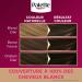 Schwarzkopf - Palette - Coloration Permanente Cheveux - Cr me Soin - Couvre 100% des Cheveux Blancs - Tenue 8 semaines - Blond Clair Sabl 386 - Buy Online on GoSupps.com