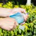 AXEN Soft Water Bottle - 150ML Thermoplastic Polyurethane Foldable & Lightweight for Cycling Marathon Running & Hiking - Buy Online on GoSupps.com