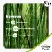 Buy The Cheeky Panda Bamboo Toilet Paper - Eco-Friendly 3-Layer 24 Rolls x 200 Sheets Plastic-Free - 4800 Sheets per Pack - Buy Online on GoSupps.com
