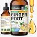 BIO KRAUTER Ginger Root - Liquid Drops Ginger Extract 655 mg per Serving 4 Fl.Oz 56-Day Supply - Pure Vegan Zingiber Officinale for Digestive Support & Daily Wellness - Alcohol & Sugar Free 4 Fl Oz (Pack of 1)