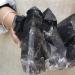 5.69LB Natural Smoky Black Quartz Cluster Crystal Specimen Crystal Cluster - Buy Online on GoSupps.com