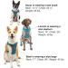 Kurgo Journey Air Dog Harness - Padded Chest & Back Handle for Dogs 2-5 kg XS Size - Blue/Gray - Buy Online on GoSupps.com