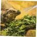 Happyyami Reptile Feeding Clip Feeding Tongs Snake Tongs Lizard Stuff Silver Stainless Steel - Buy Online on GoSupps.com