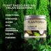Plantoria Organic Coconut Oil with Vitamin E | Nourishing Vegan Skin Moisturizer | Heal Wounds & Skin Issues | Pure Natural Coconut Oil Cream - Buy Online on GoSupps.com