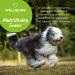 Healthspan Senior Multivitamin for Dogs | 240 Tablets | 15 Essential Vitamins & Minerals with Siberian Ginseng | Beef Flavoured | Pet Health Supplement - Buy Online on GoSupps.com