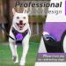 Eagloo Dog Harness for Large Dogs - Adjustable Anti-Train Control Harness with Reflex Strips Purple - Perfect for Labradors (1 Pack) - Buy Online on GoSupps.com