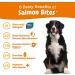 Zesty Paws Salmon Bites â€“ Skin & Coat Chews for Dogs | 90 Soft Chews, All Ages - Buy Online on GoSupps.com