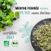 ORIGEENS ORGANIC PEPPERMINT LEAVES 150g | Dried Mint for Iced Tea and Cooking | Loose Leaf Infusion - Buy Online on GoSupps.com