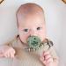 Ryan & Rose Cutie PAT Pacifier Teether - Slant Ivy | Buy Now - Buy Online on GoSupps.com