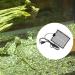 Reptile Heat Pad Adjustable Under Tank Heater 5W/15W/25W Thermostat Terrarium Warmer Heating Mat for Snake Lizard Turtle Frog - Buy Online on GoSupps.com