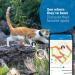 Tractive Waterproof GPS Cat Tracker - Dark Blue | Unlimited Range & Activity Monitoring - Buy Online on GoSupps.com