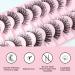 Buy Glowing Win Russian False Eyelashes - 10 Pairs 3D Cat Eye & Curly Fake Lashes | Handmade & Reusable - Buy Online on GoSupps.com