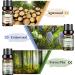 Hyppry Woody Essential Oils Set - 6x10ml Premium Natural Aromatherapy Oils for Diffuser & Home Fragrance - Sandalwood, Cedarwood, Cypress, Pine, Teakwood, Agarwood - Buy Online on GoSupps.com