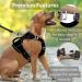 Medium TUFFDOG Easy-Fit Dog Harness - Premium Padded Reflective No Pull Vest with Control Handle and Matching Lead - Raven Black - Buy Online on GoSupps.com