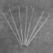 Whisverse 100 Pcs Clear Acrylic Lollipop Sticks Reusable Lollipop Sticks for Making Lollipops Cakes Lollipops Chocolates 15.2 - Buy Online on GoSupps.com