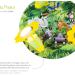 Elobra Children's Room Lamp - Jungle Animals Rondell | Sweet Green Ceiling Light for Kids | Real Wood | 29x29x19 cm - Buy Online on GoSupps.com
