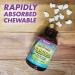 Bluebonnet Nutrition Super Earth Rainforest Animalz - Calcium, Magnesium & Vitamin D3 Chewables - 90 Natural Vanilla Frosting Flavored Gummies - Buy Online on GoSupps.com