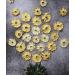 Dried Pineapple Rings - Premium Dehydrated Cocktail Garnishes - 15 Servings (60g Approx) - Buy Online on GoSupps.com