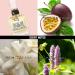 Juicy Couture Eau De Parfum Women's Perfume with Notes of Passion Fruit Princess Lili & Patchouli - Fruity & Floral EDP Spray 1.7 Fl Oz (Pack of 1) - Buy Online on GoSupps.com