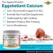 Calcium for Dogs and Cats - Fine Eggshell Powder - Strong Hip & Joint Supplement for Dogs and Cats- Dietary Supplement - No Additives - Pet's Friend Eggshellent Calcium 6oz 6 oz - Buy Online on GoSupps.com