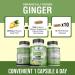 Organic Ginger Root Capsules 3850mg - Immune Support Supplement with Ginger Powder for Digestive Health - 90 Veg Capsules - Buy Online on GoSupps.com
