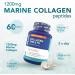 Zipvit Marine Collagen 1200mg Tablets with Hyaluronic Acid Vitamin C and Zinc. High Strength Type 1 Collagen for Men and Women Supports Hair Skin and Nails 60 Tablets 1 Month Supply Collagen Tablets - 60 Pack - Buy Online on GoSupps.com