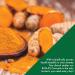 Curcu-Gel 650mg BCM-95 CurcuGreen Turmeric Curcumin | High Absorption | 3rd Party Tested | Non-GMO | Pack of 60 - Buy Online on GoSupps.com