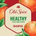 Old Spice Healthy Feeling Hair Shampoo for Men 650 mL Shampoo Healthy Feeling Hair - Buy Online on GoSupps.com